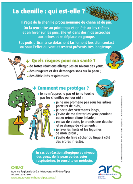 2022-04-04-chenilles-da579 (1).png