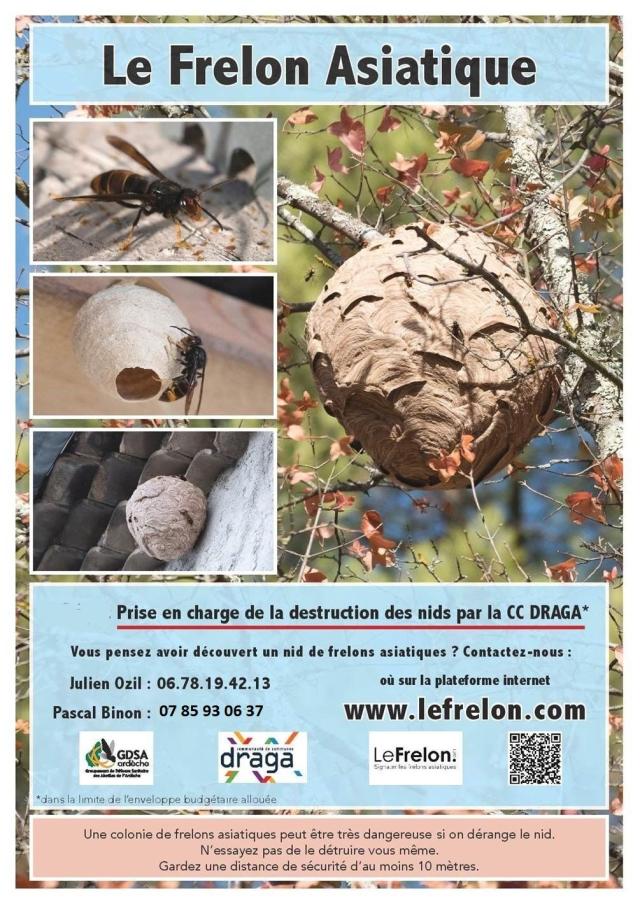 frelon2023-912ca.jpg