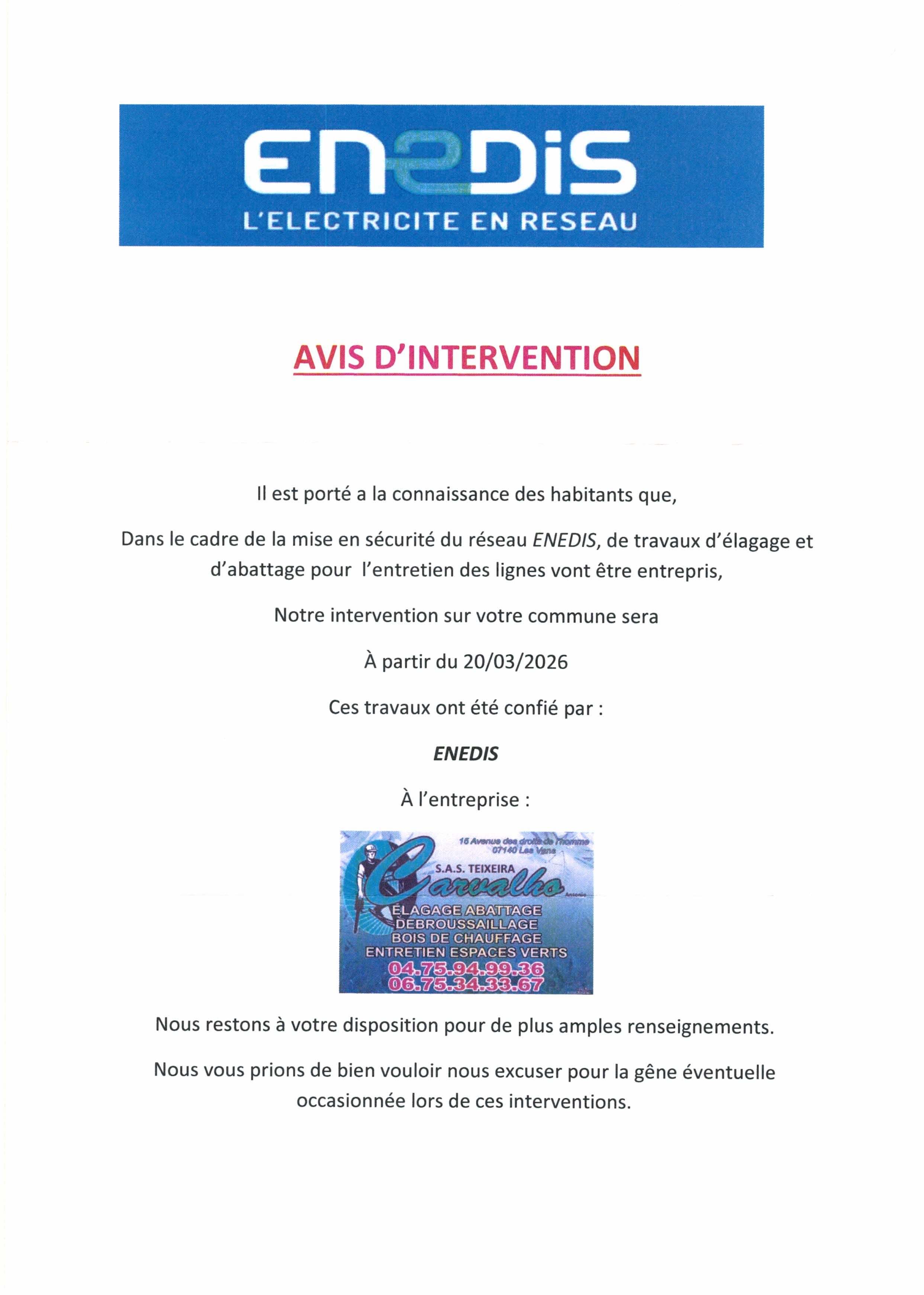 Opération d'élagage et d'abattage